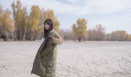 明尺吉步在线观看,在线观看，探寻古代步法奥秘之旅